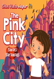 Shivi Visits Jaipur: The Pink City