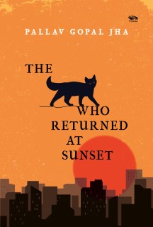 The Cat Who Returned At Sunset 