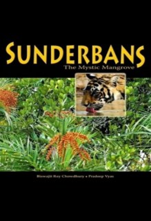 sunderbans